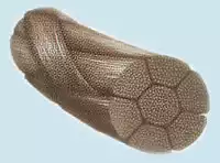 Артикул 5907-1